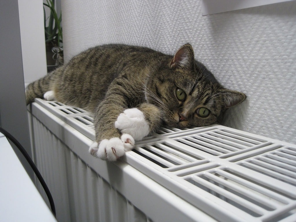 Comment bien se chauffer l'hiver